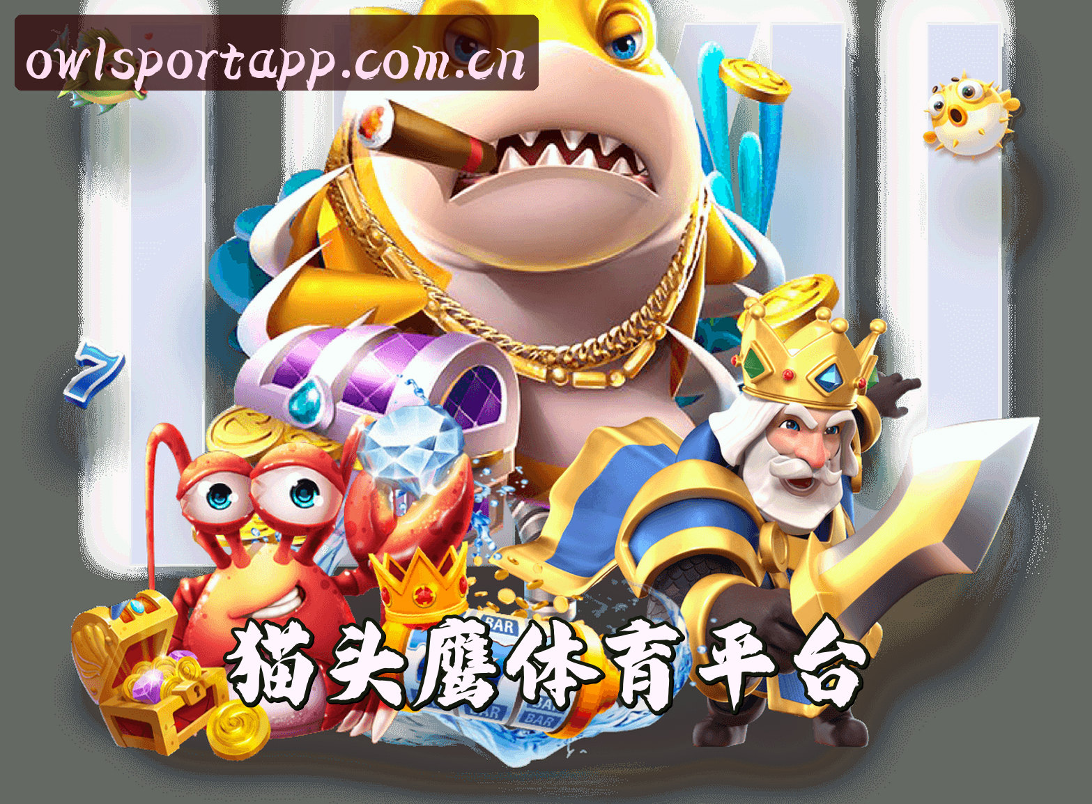 OWL | 猫头鹰体育·官方网站